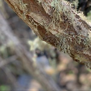 Meet your Posher, Danny